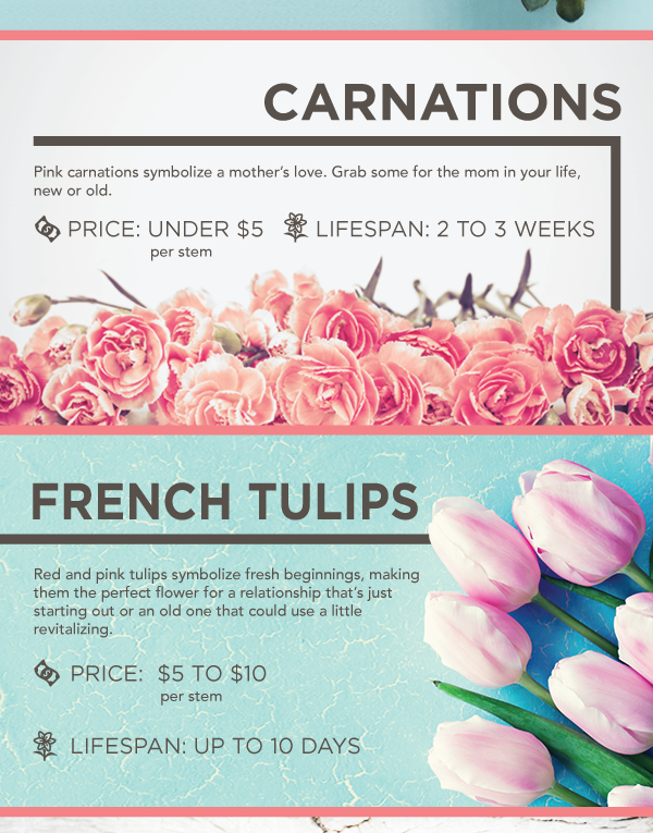 The Best Flowers to Buy for Valentine’s Day