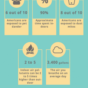 5 Tips to Improve Air Quality In Your Home