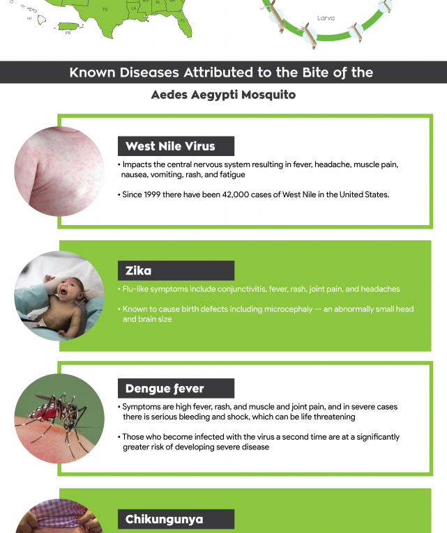 The Most Dangerous Mosquito in the United States