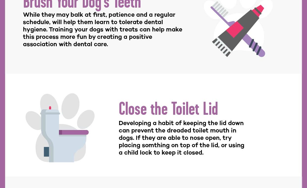 Dog Breath – Why Your Dog’s Bad Breath Stinks and How to Fix It