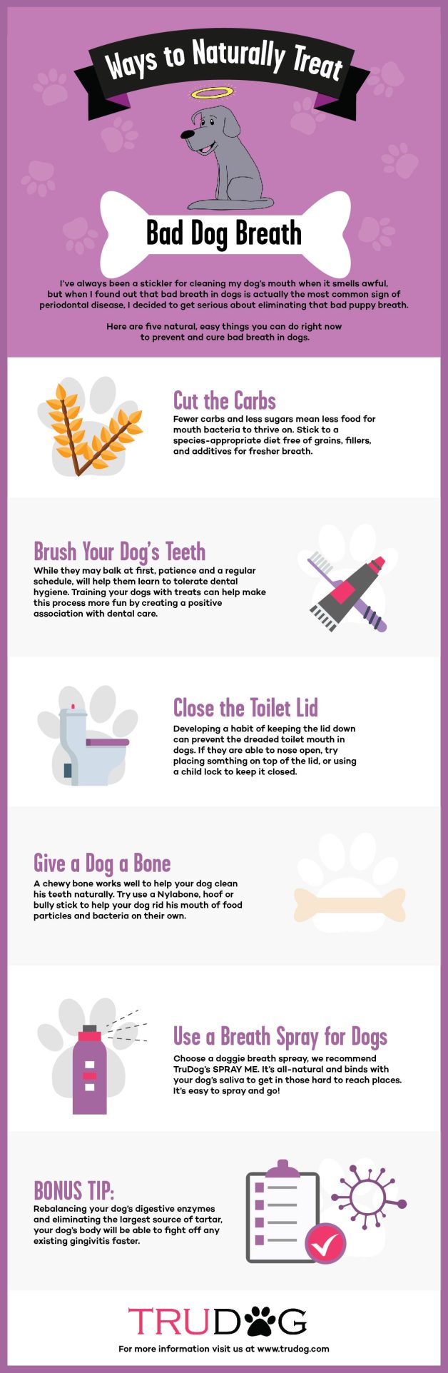 Dog Breath – Why Your Dog’s Bad Breath Stinks and How to Fix It