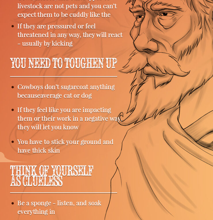 Truths About Becoming a Cowboy