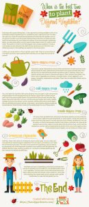 When Is The Best Time To Plant Vegetables