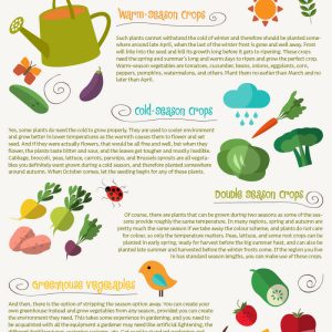 When Is The Best Time To Plant Vegetables