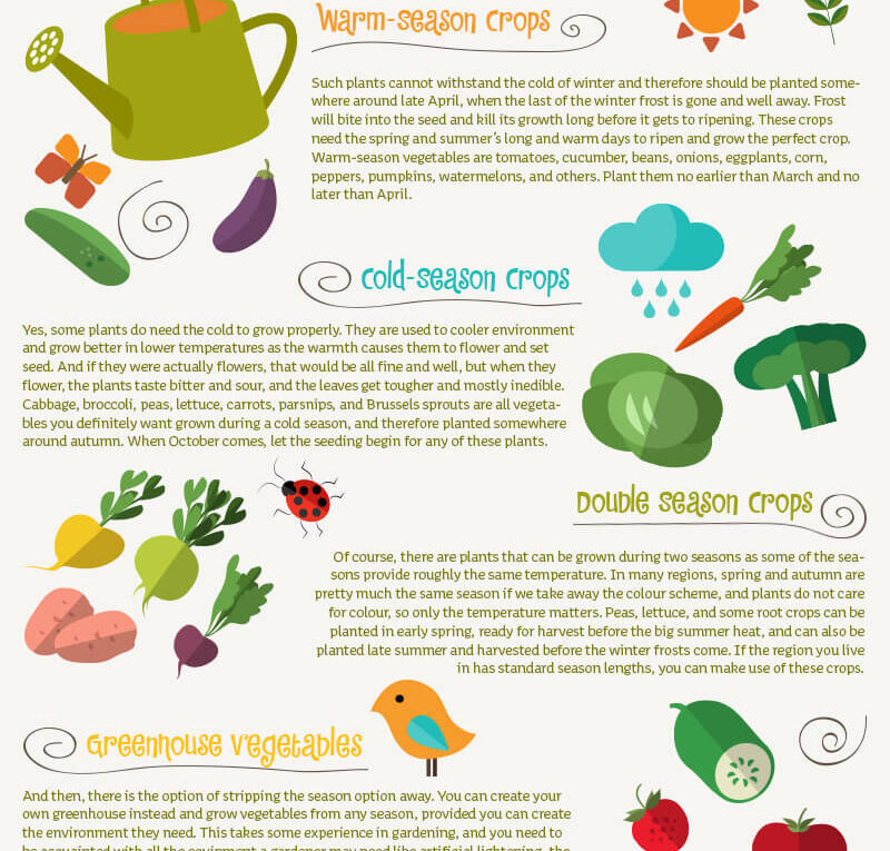 When Is The Best Time To Plant Vegetables