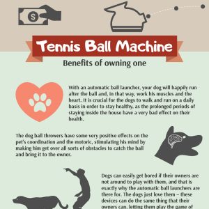 Dog Ball Launcher Buying Guide