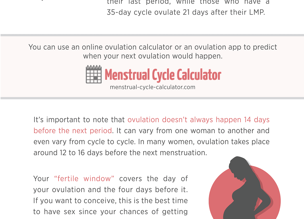 How To Calculate Your Next Period & Ovulation