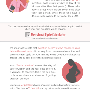 How To Calculate Your Next Period & Ovulation