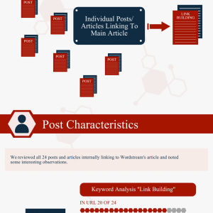 Examination of an Internal Link Strategy