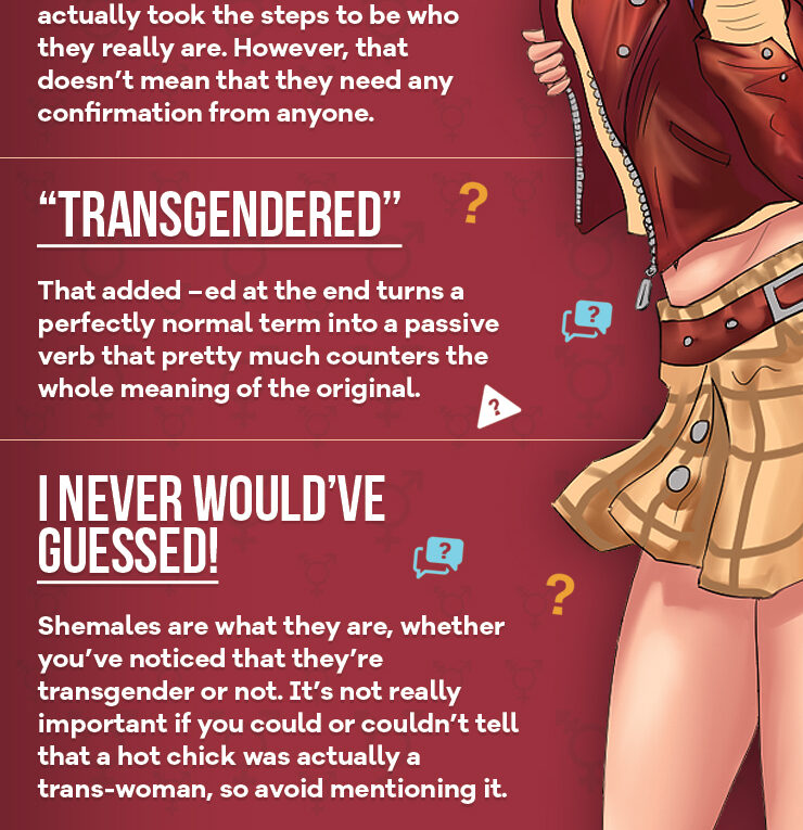 Things You Should Never Say to a Shemale