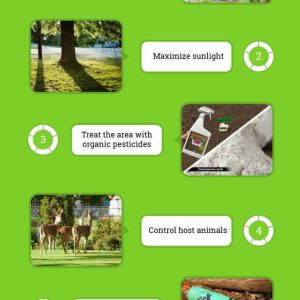 7 Different Ways to Tick Proof Your Yard