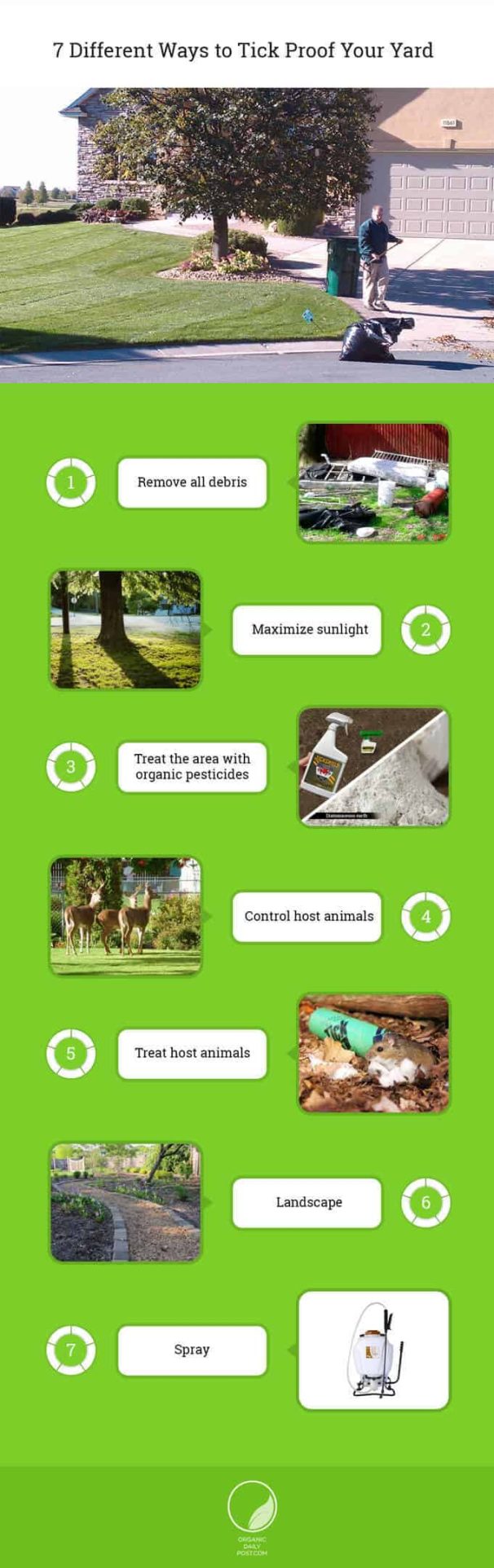 7 Different Ways to Tick Proof Your Yard