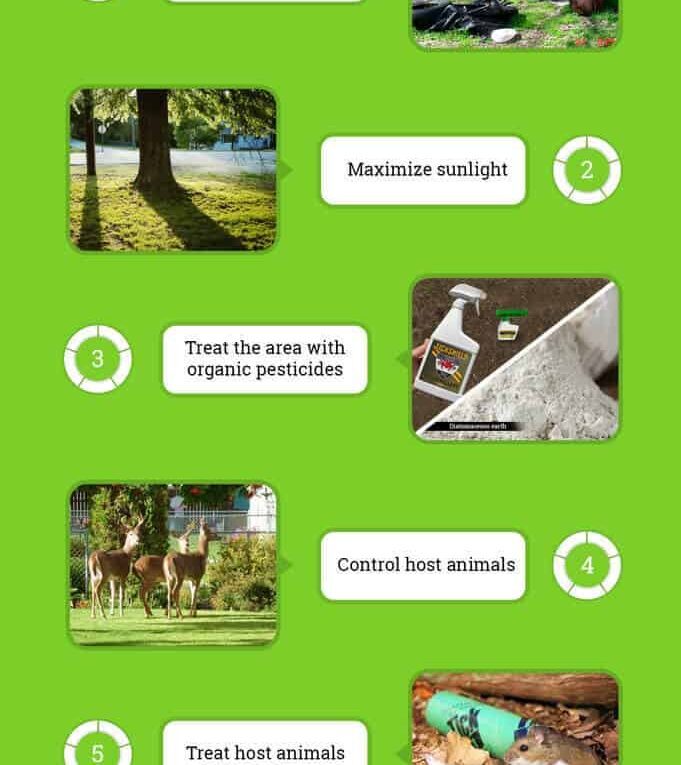 7 Different Ways to Tick Proof Your Yard