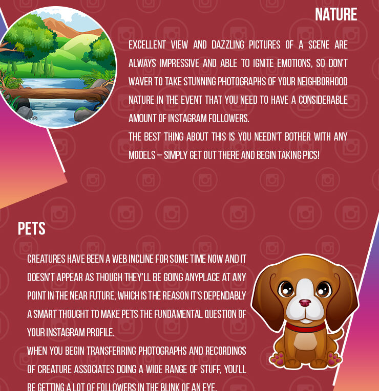 Becoming Popular on Instagram 101