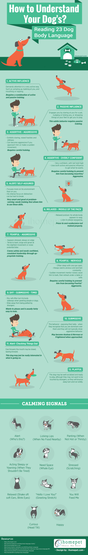 Understand 23 Dog Body Language