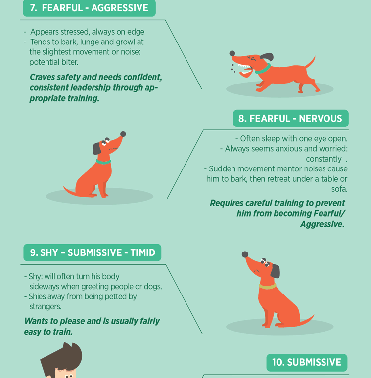 Understand 23 Dog Body Language