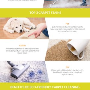 Modern Carpet Cleaning Methods