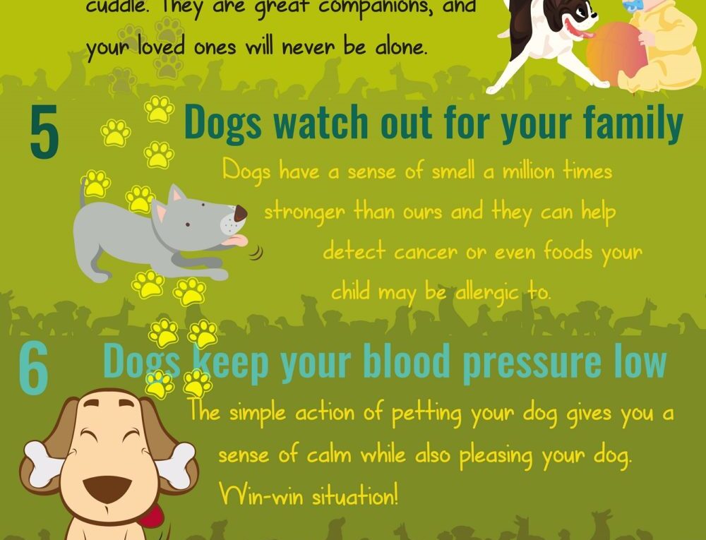How Dogs Make Us Healthier Infographic