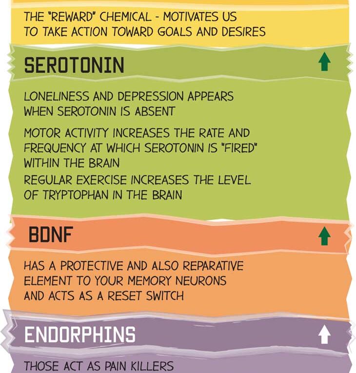 How Exercise Makes You Happy