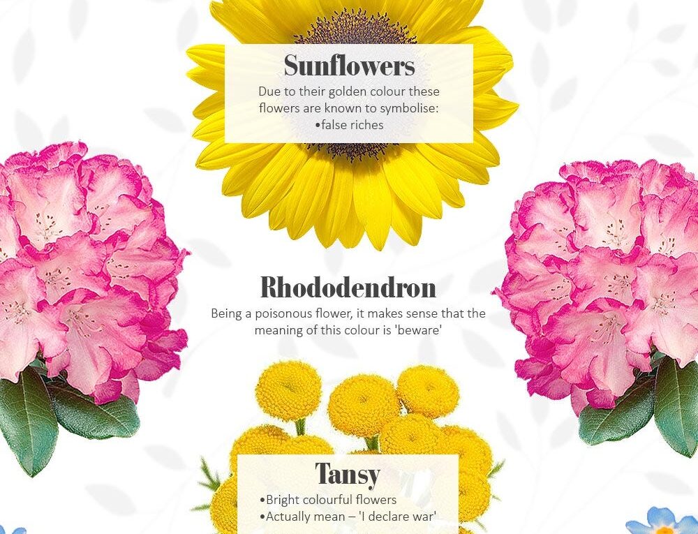 Flowers and Their Symbolism