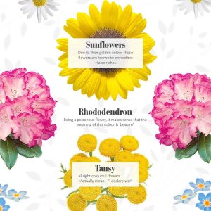 Flowers and Their Symbolism