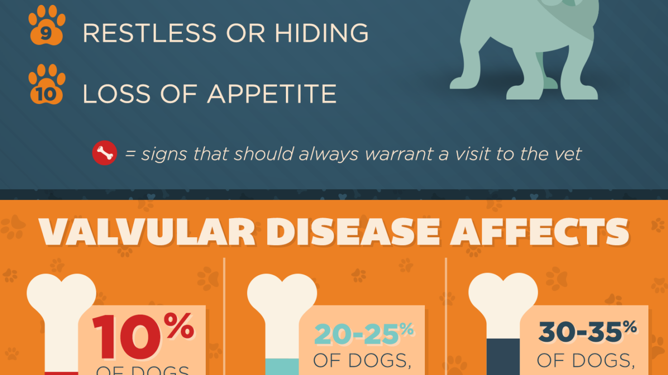 Keeping Your Pets Healthy