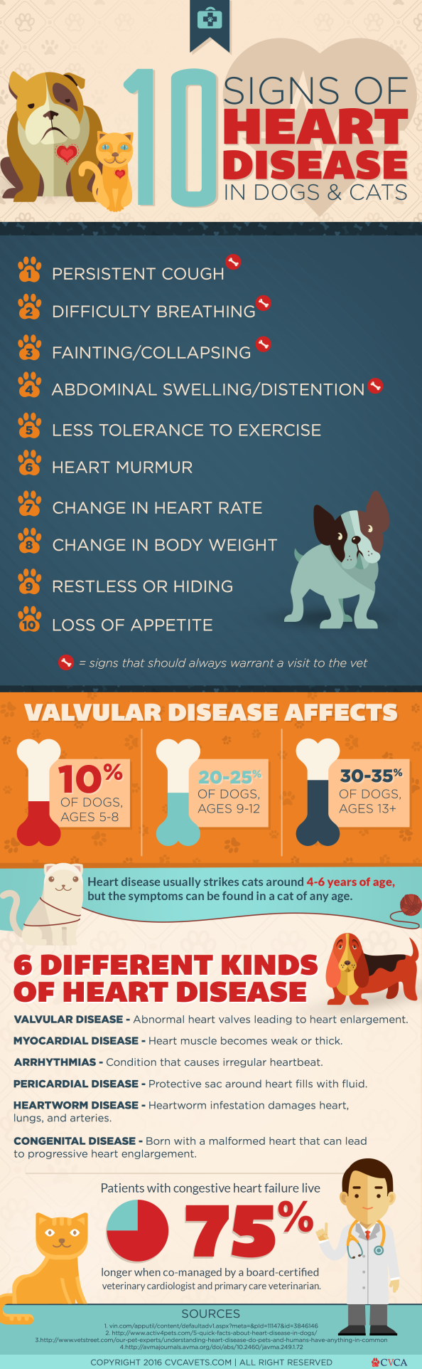 Keeping Your Pets Healthy