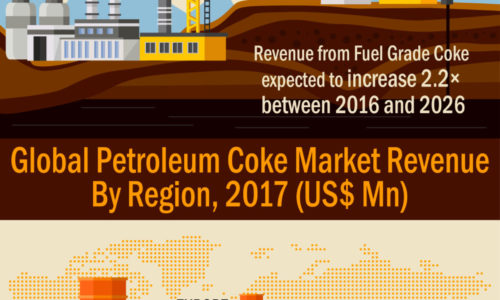 petroleum-coke-market-infographics