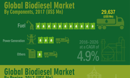 infographics-global-biodiesel-market