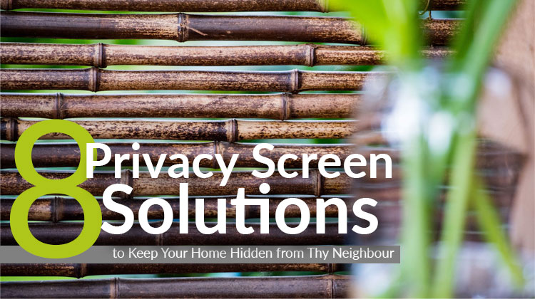 8 Privacy Screen Solutions to Keep Your Home Hidden from Thy Neighbour