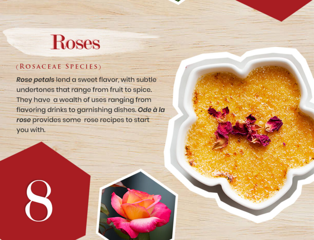 Edible Flowers: 15 Blooms that You Can Eat