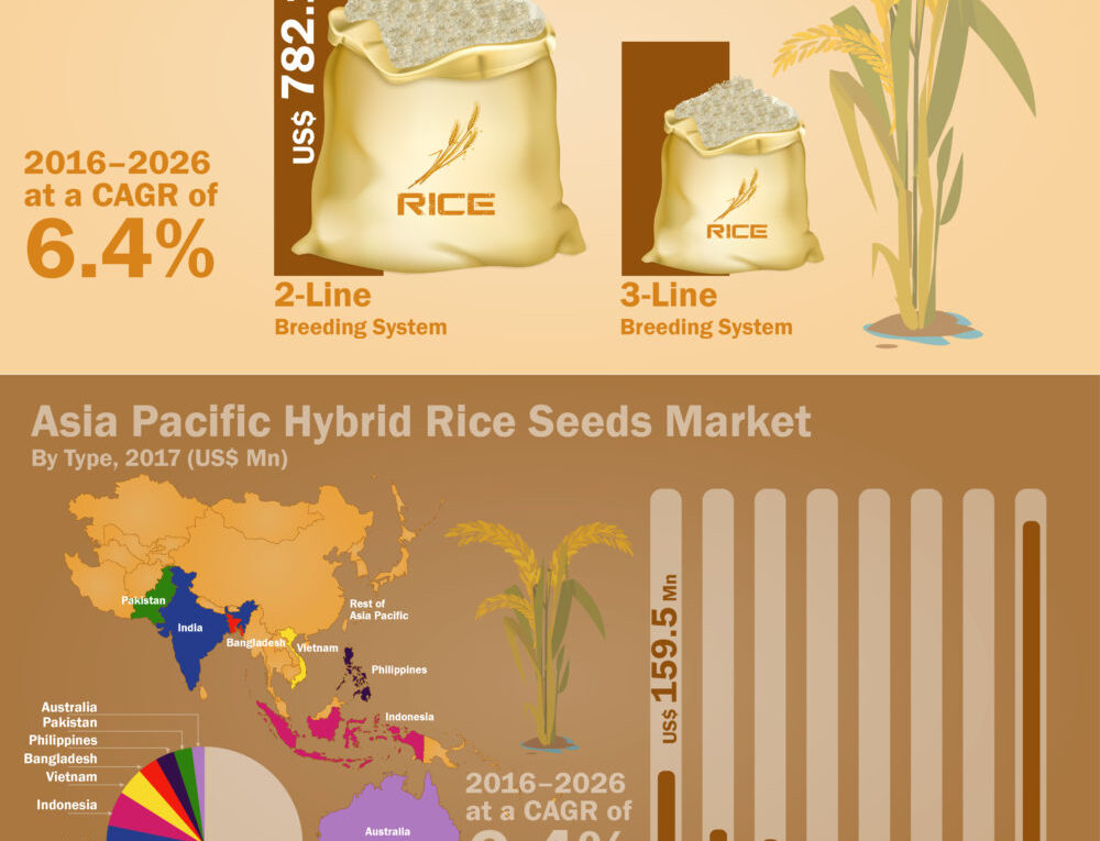 CAGR Of 6.4: Global Hybrid Rice Seeds Market about to hit CAGR of 6.4 from 2017 to 2026