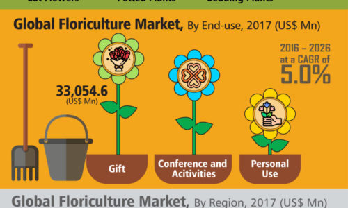 global floriculture market infographics