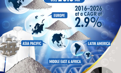 global-potassium-carbonate-in-laundry-detergents-market-infographics