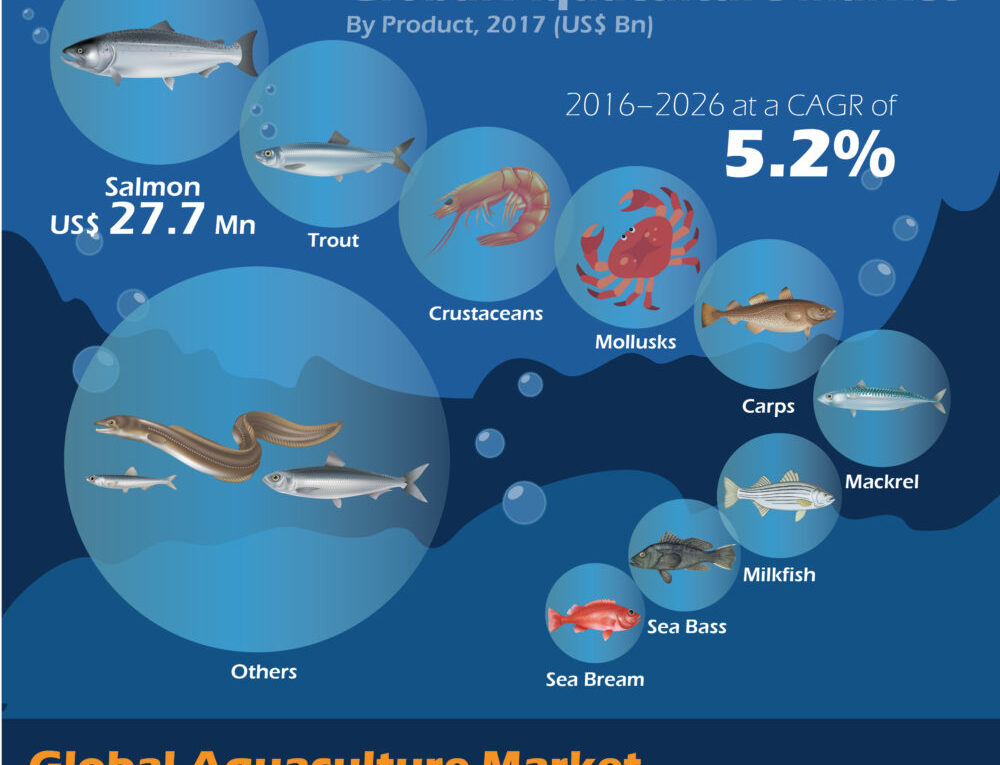 Exhibit CAGR Of 5.2%: Global Aquaculture Market about to Exhibit CAGR of 5.2% from 2017 to 2026