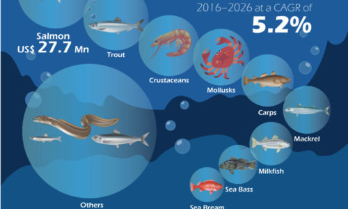 global-aquaculture-market-infographics