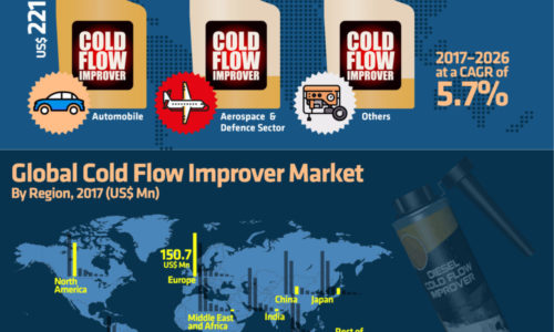 global-cold-flow-improver-market-infographics