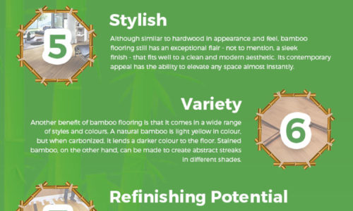 Bamboo Flooring Infographic