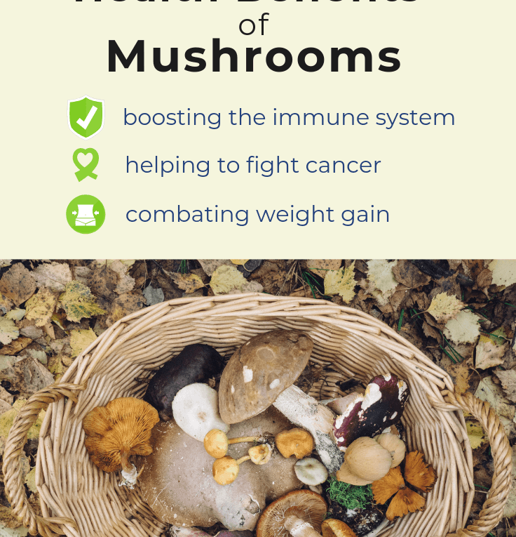 The Emerging Medicinal Health Benefits of Mushrooms
