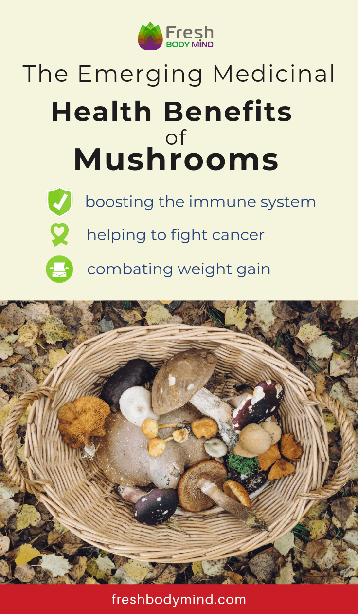 The Emerging Medicinal Health Benefits of Mushrooms