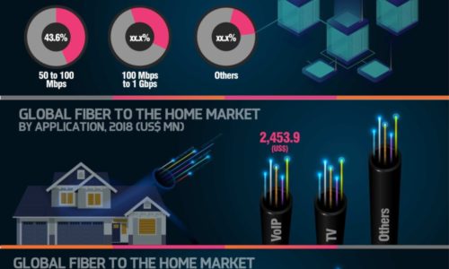 fiber to the home market