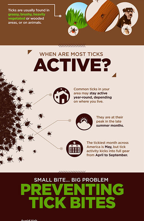 Ticks. Small Bite, Big Problem.