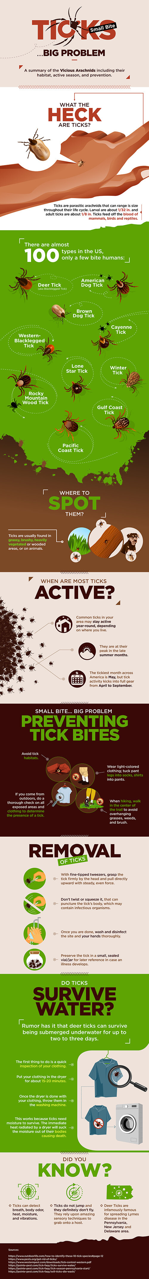 Ticks. Small Bite, Big Problem.
