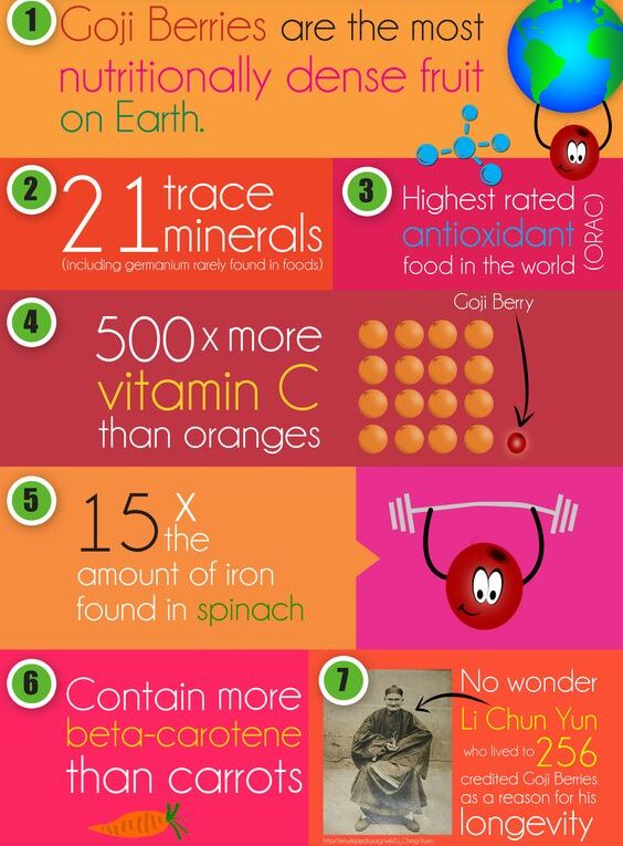 8 Reasons to Eat Goji Berries