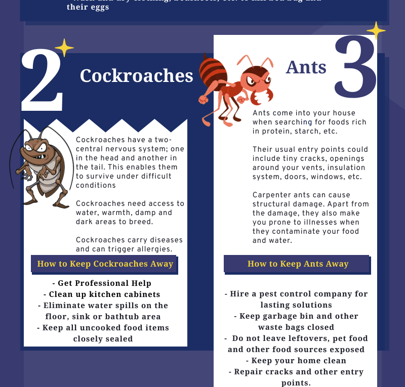 Learn About the Most Common Pests in Toronto