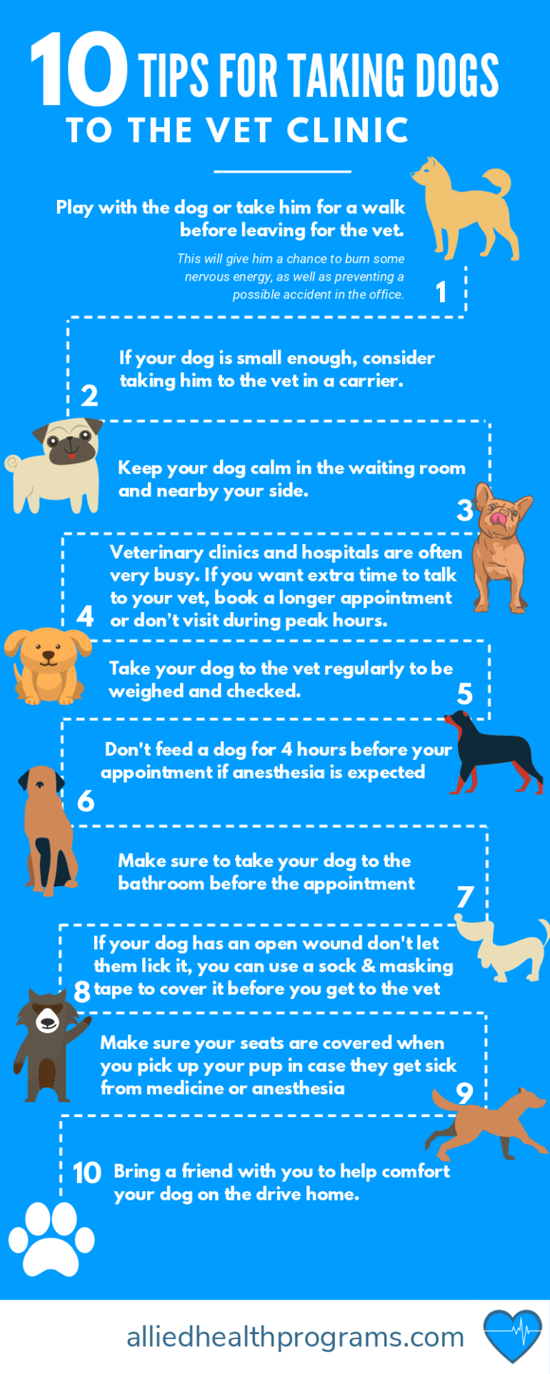 Top 10 Tips for Taking Your Dog to the Veterinarian