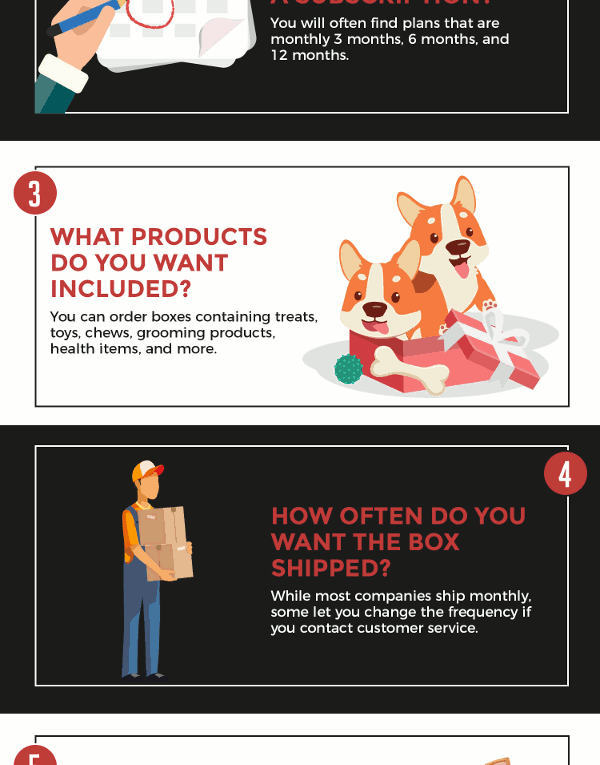 Choosing the Best Dog Subscription Box: 8 Important Things to Consider