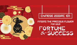 Flowers that will Bring you Luck in 2020 based on Your Chinese Zodiac Sign