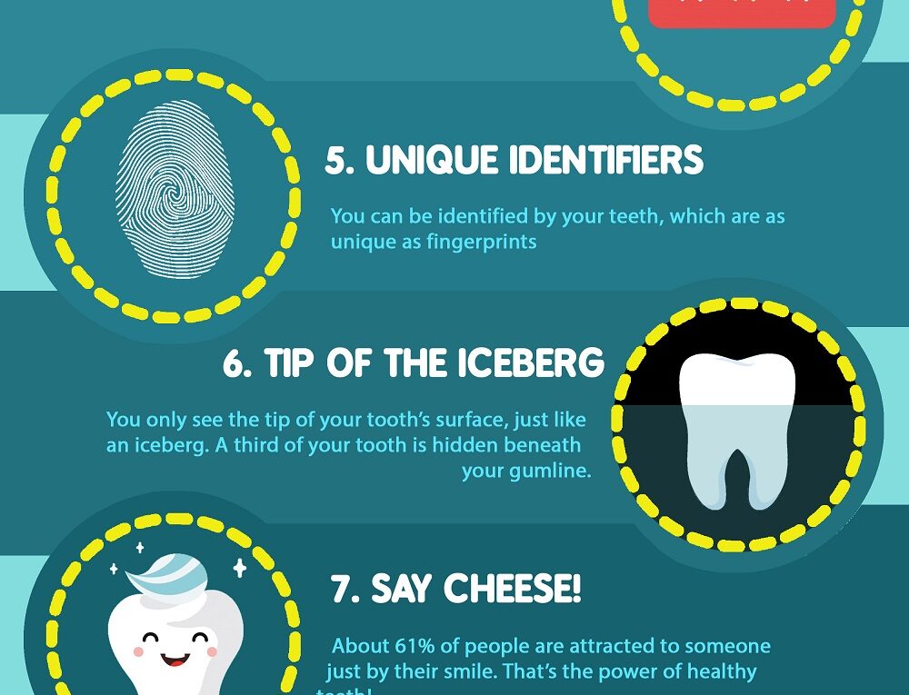 10 Interesting Facts About Teeth Infographic