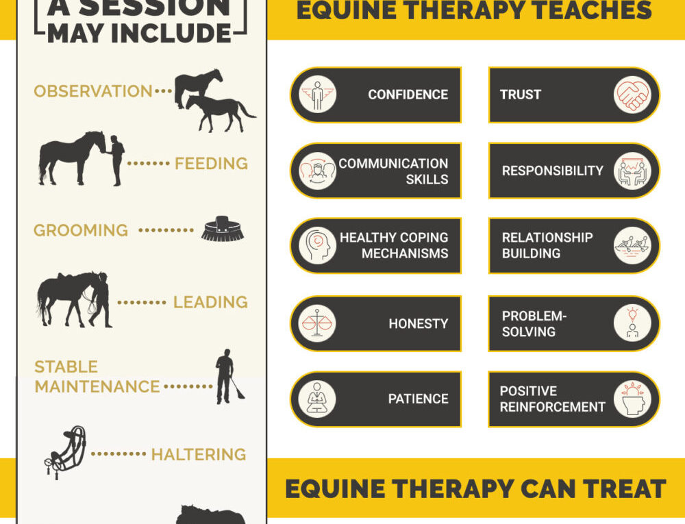 What is Equine Therapy?